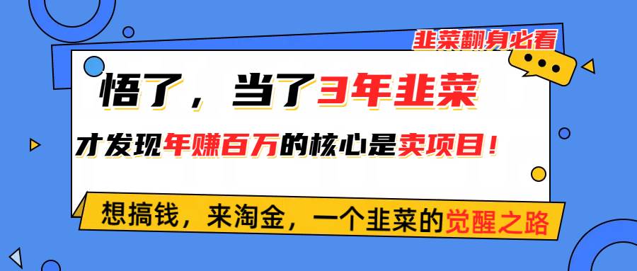 悟了，当了3年韭菜，才发现网赚圈年赚100万的核心是卖项目，含泪分享！燚龙网创-网创项目资源站-副业项目-创业项目-网赚项目燚龙网创