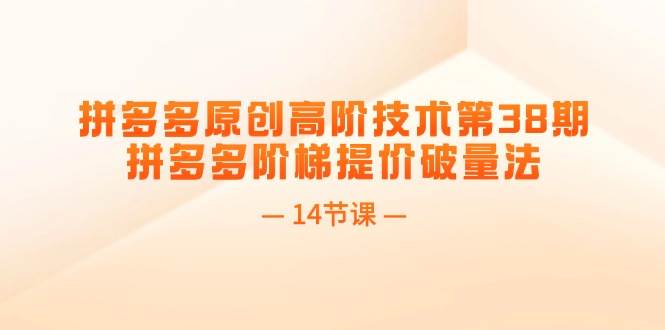 拼多多原创高阶技术第38期，拼多多阶梯提价破量法（14节课）燚龙网创-网创项目资源站-副业项目-创业项目-网赚项目燚龙网创