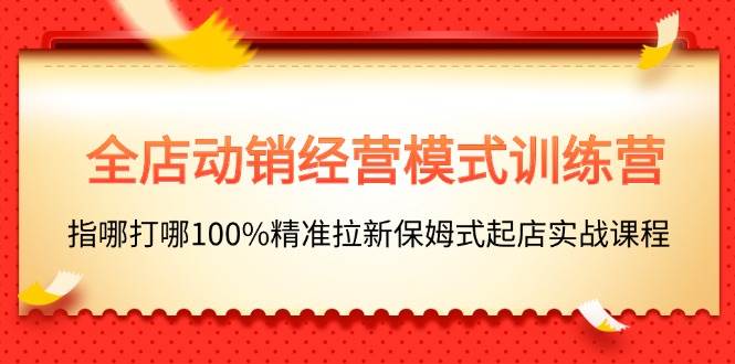全店动销-经营模式训练营，指哪打哪100%精准拉新保姆式起店实战课程燚龙网创-网创项目资源站-副业项目-创业项目-网赚项目燚龙网创