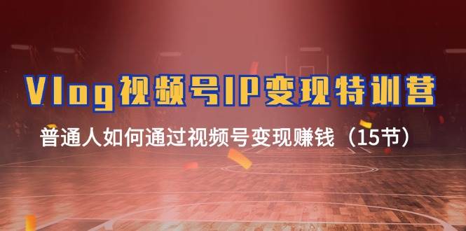 Vlog 视频号IP变现特训营，普通人如何通过视频号变现赚钱（15节）燚龙网创-网创项目资源站-副业项目-创业项目-网赚项目燚龙网创