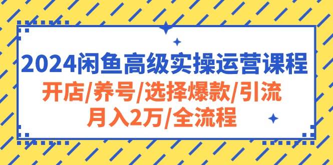 2024闲鱼高级实操运营课程：开店/养号/选择爆款/引流/月入2万/全流程燚龙网创-网创项目资源站-副业项目-创业项目-网赚项目燚龙网创