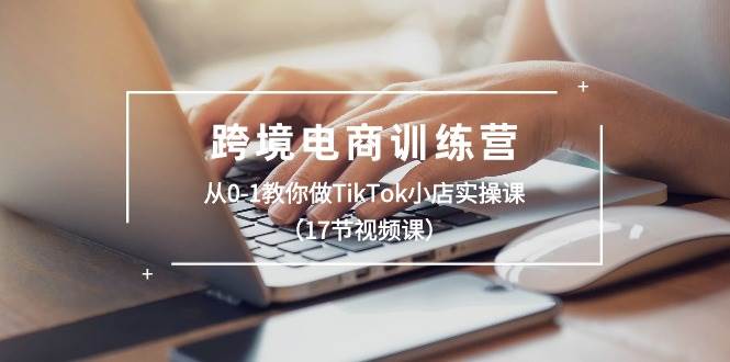 跨境电商训练营：从0-1教你做TikTok小店实操课（17节视频课）燚龙网创-网创项目资源站-副业项目-创业项目-网赚项目燚龙网创