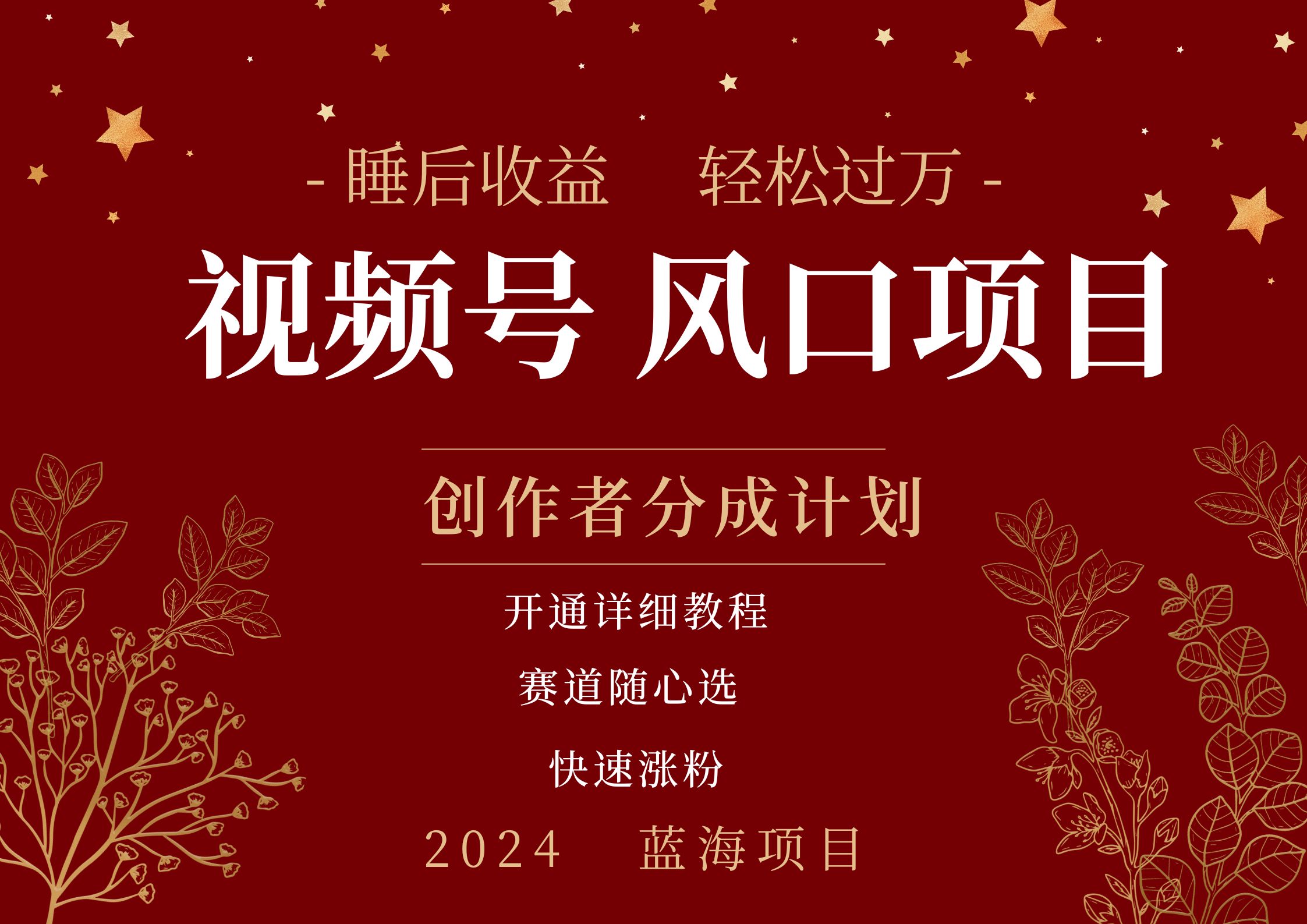 拥有睡眠收益的微信视频号大风口项目，轻松月入过万+，多赛道选择，可矩阵，玩法简单轻松上手燚龙网创-网创项目资源站-副业项目-创业项目-网赚项目燚龙网创