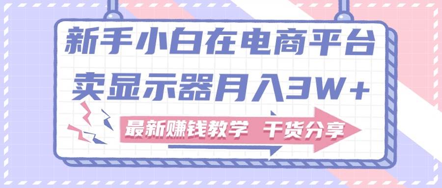 新手小白如何做到在电商平台卖显示器月入3W+，最新赚钱教学干货分享燚龙网创-网创项目资源站-副业项目-创业项目-网赚项目燚龙网创