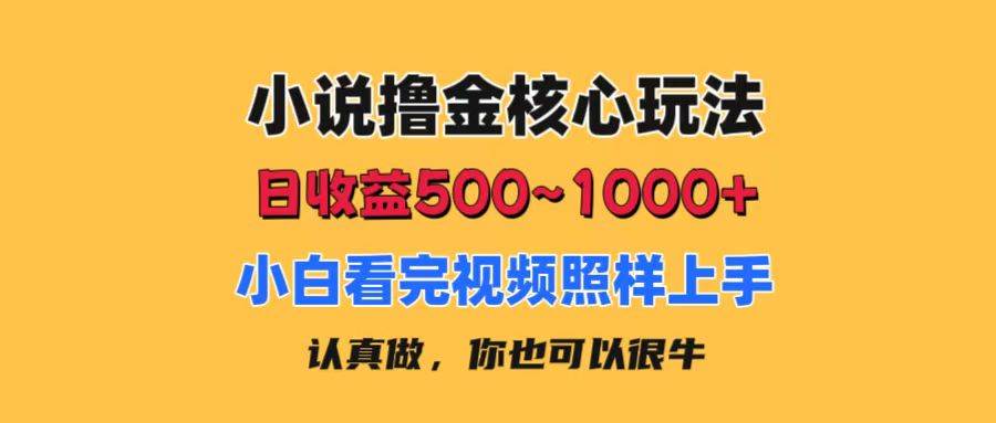 小说撸金核心玩法，日收益500-1000+，小白看完照样上手，0成本有手就行燚龙网创-网创项目资源站-副业项目-创业项目-网赚项目燚龙网创