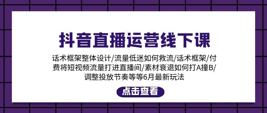 抖音直播运营线下课：话术框架/付费流量直播间/素材A撞B/等6月新玩法燚龙网创-网创项目资源站-副业项目-创业项目-网赚项目燚龙网创