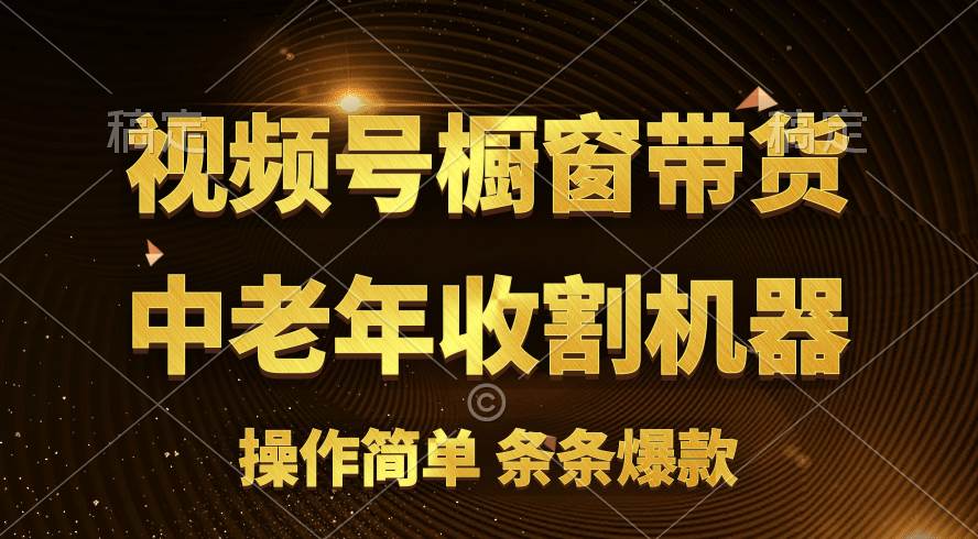 [你的孩子成功取得高位]视频号最火爆赛道，橱窗带货，流量分成计划，条…燚龙网创-网创项目资源站-副业项目-创业项目-网赚项目燚龙网创