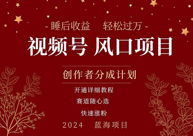 拥有睡眠收益的微信视频号大风口项目，轻松月入过万+，多赛道选择，可…燚龙网创-网创项目资源站-副业项目-创业项目-网赚项目燚龙网创
