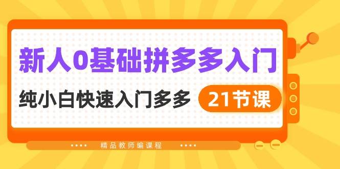 新人0基础拼多多入门，纯小白快速入门多多（21节课）燚龙网创-网创项目资源站-副业项目-创业项目-网赚项目燚龙网创