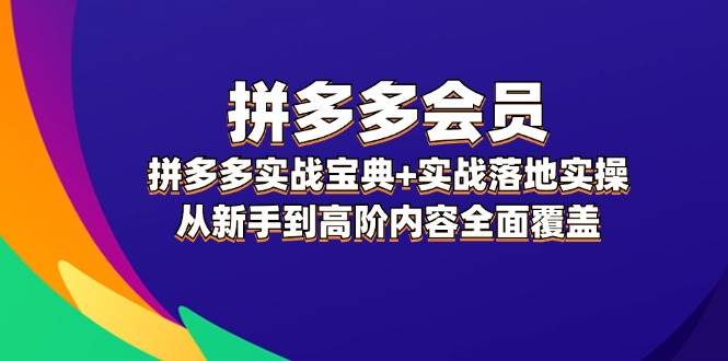 拼多多 会员，拼多多实战宝典+实战落地实操，从新手到高阶内容全面覆盖燚龙网创-网创项目资源站-副业项目-创业项目-网赚项目燚龙网创