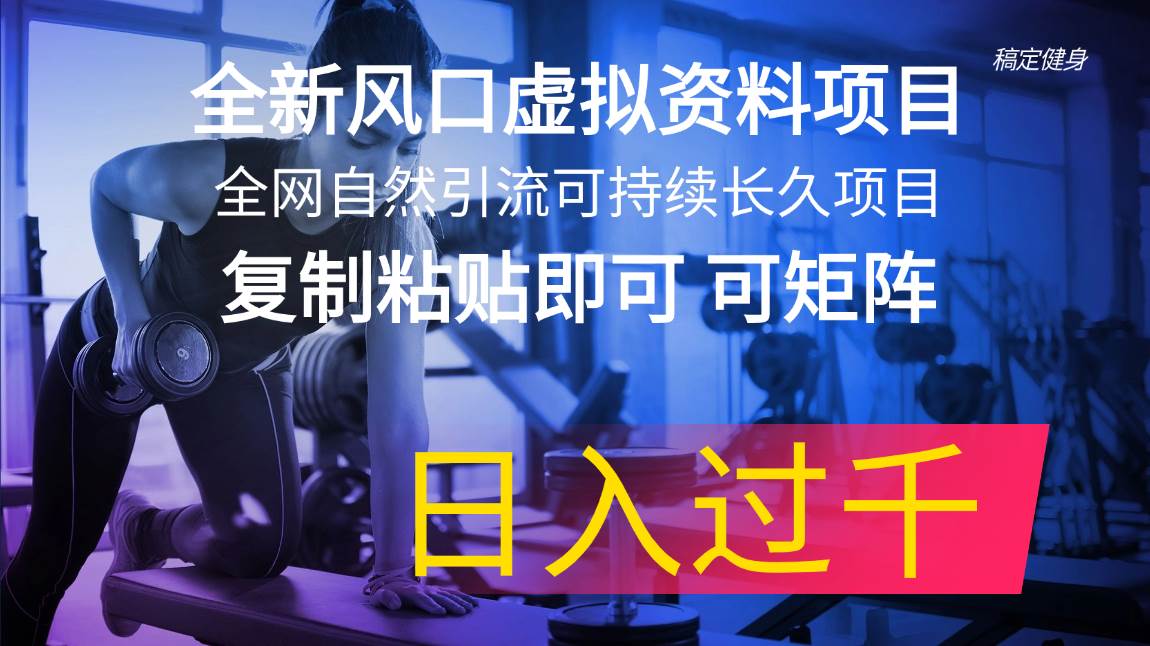 全新风口虚拟资料项目 全网自然引流可持续长久项目 复制粘贴即可可矩阵…燚龙网创-网创项目资源站-副业项目-创业项目-网赚项目燚龙网创