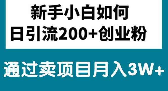 新手小白日引流200+创业粉,通过卖项目月入3W+燚龙网创-网创项目资源站-副业项目-创业项目-网赚项目燚龙网创