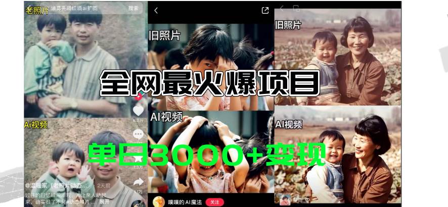 全网爆火的AI让老照片动起来教程，蹭热点日赚3000+，内含免费工具一键…燚龙网创-网创项目资源站-副业项目-创业项目-网赚项目燚龙网创