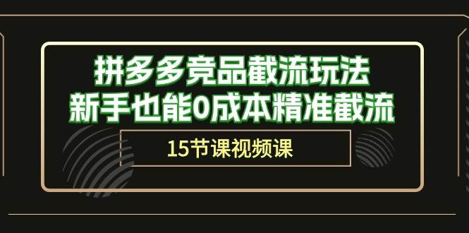 拼多多竞品截流玩法，新手也能0成本精准截流（15节课）燚龙网创-网创项目资源站-副业项目-创业项目-网赚项目燚龙网创