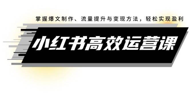 小红书高效运营课：掌握爆文制作、流量提升与变现方法，轻松实现盈利燚龙网创-网创项目资源站-副业项目-创业项目-网赚项目燚龙网创