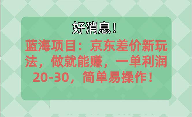 越早知道越能赚到钱的蓝海项目：京东大平台操作，一单利润20-30，简单…燚龙网创-网创项目资源站-副业项目-创业项目-网赚项目燚龙网创