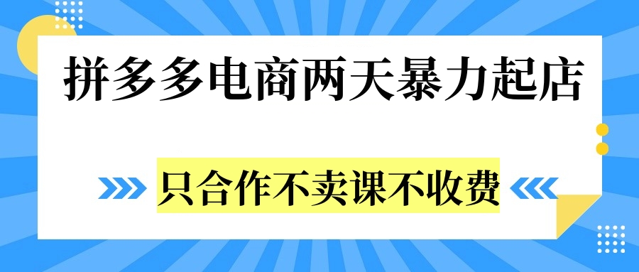 拼多多两天暴力起店，只合作不卖课不收费燚龙网创-网创项目资源站-副业项目-创业项目-网赚项目燚龙网创