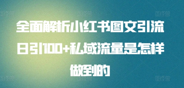 暴力引流 小红书图文引流日引100私域全面拆解【打粉人必看】燚龙网创-网创项目资源站-副业项目-创业项目-网赚项目燚龙网创