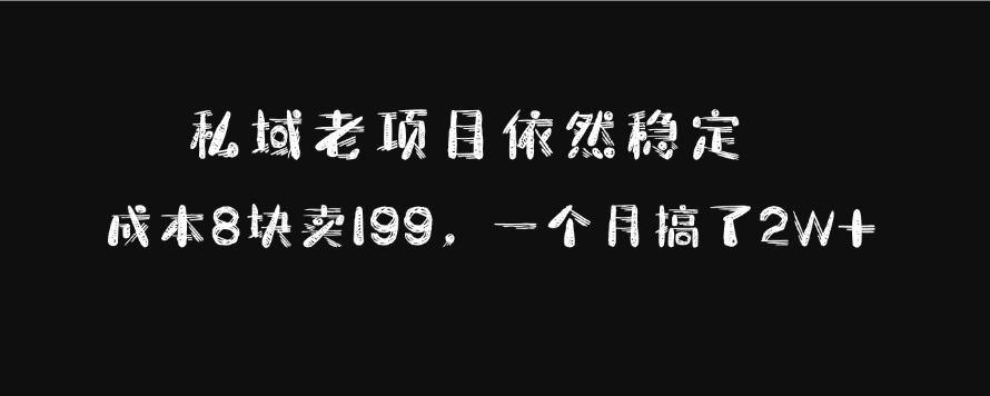 私域老项目依然稳定，成本8块卖199，一个月搞了2W+燚龙网创-网创项目资源站-副业项目-创业项目-网赚项目燚龙网创