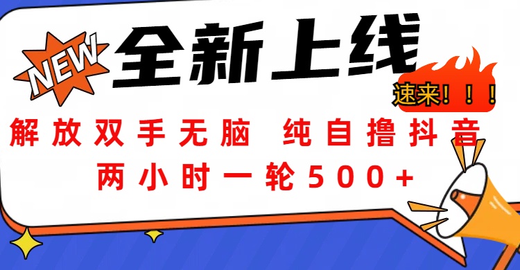 解放双手无脑 纯自撸抖音 两小时一轮500+燚龙网创-网创项目资源站-副业项目-创业项目-网赚项目燚龙网创