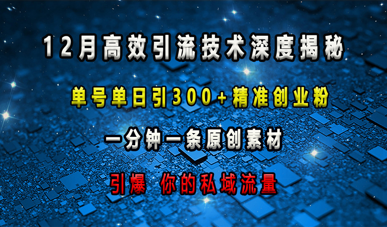 12月高效引流技术深度揭秘 ，单号单日引300+精准创业粉，一分钟一条原创素材，引爆你的私域流量燚龙网创-网创项目资源站-副业项目-创业项目-网赚项目燚龙网创