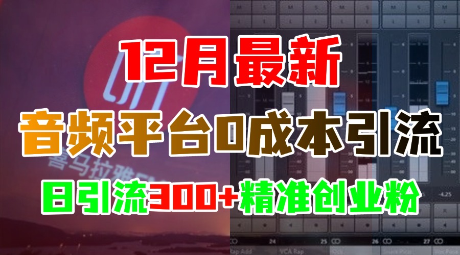 12月最新：音频平台0成本引流，日引300+精准创业粉燚龙网创-网创项目资源站-副业项目-创业项目-网赚项目燚龙网创