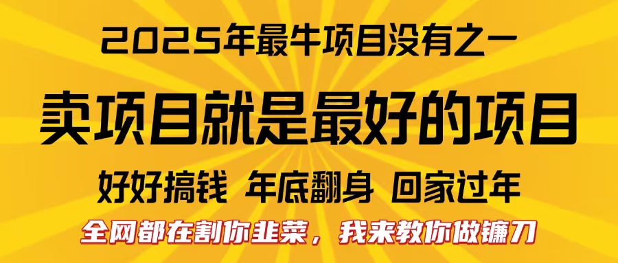 全网都在割你韭菜，我来教你做镰刀。卖项目就是最好的项目，2025年最牛互联网项目燚龙网创-网创项目资源站-副业项目-创业项目-网赚项目燚龙网创
