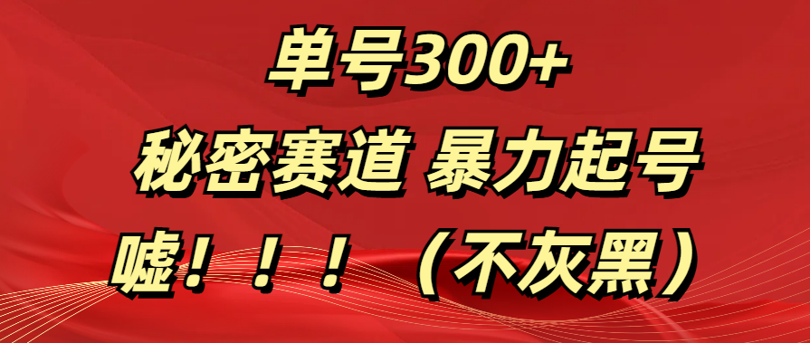 单号300+  秘密赛道 暴力起号  （不灰黑）燚龙网创-网创项目资源站-副业项目-创业项目-网赚项目燚龙网创