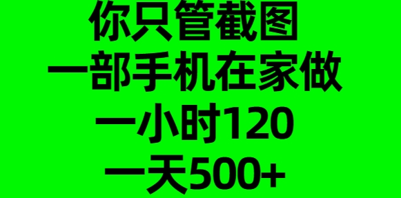 你只管截图，一部手机在家做，一小时120，一天500+燚龙网创-网创项目资源站-副业项目-创业项目-网赚项目燚龙网创