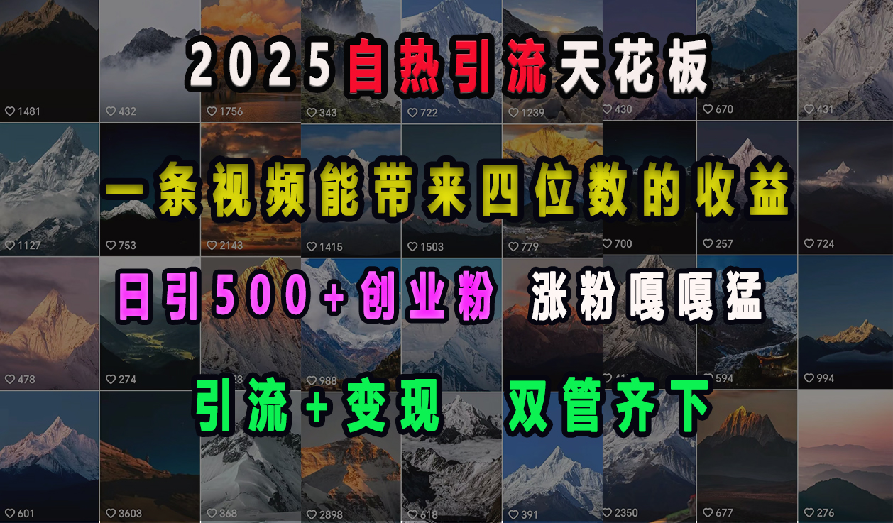 2025自热引流天花板，一条视频能带来四位数的收益，引流+变现双管齐下，日引500+创业粉，涨粉嘎嘎猛燚龙网创-网创项目资源站-副业项目-创业项目-网赚项目燚龙网创
