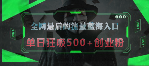 全网最后的流量蓝海入口，半小时引流50+创业粉，单日狂吸500+创业粉燚龙网创-网创项目资源站-副业项目-创业项目-网赚项目燚龙网创
