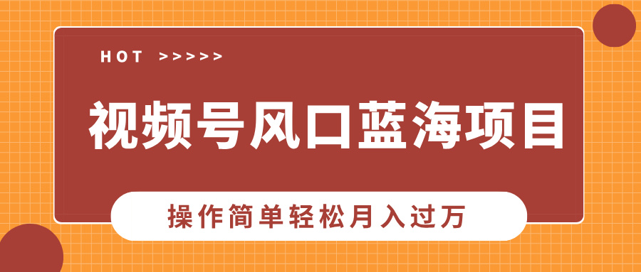 视频号风口蓝海项目，中老年人的流量密码，操作简单轻松月入过万燚龙网创-网创项目资源站-副业项目-创业项目-网赚项目燚龙网创