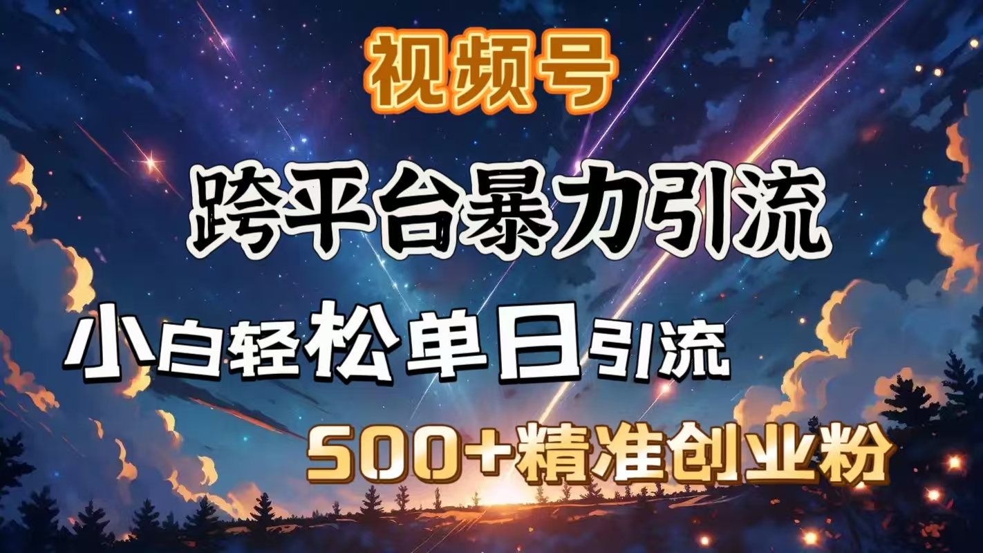 视频号跨平台暴力引流，小白轻松单日引流500＋精准创业粉燚龙网创-网创项目资源站-副业项目-创业项目-网赚项目燚龙网创