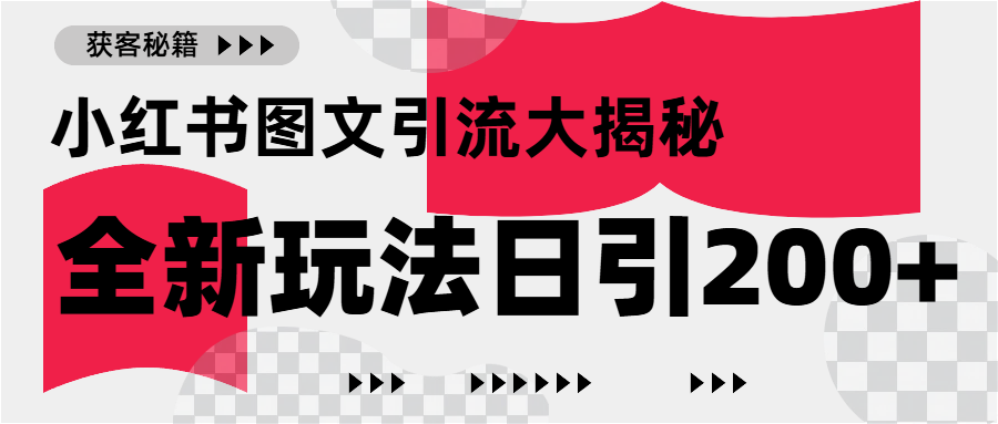 小红书图文引流，只需一张图片即可撬动百万流量，日引200+创业粉燚龙网创-网创项目资源站-副业项目-创业项目-网赚项目燚龙网创