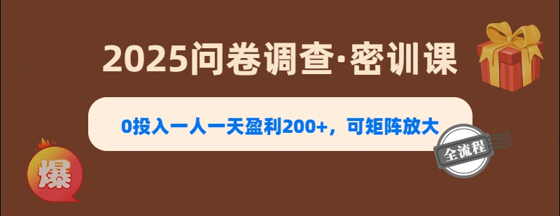 2025《问卷调查》0投入一人一天盈利200+，可矩阵放大燚龙网创-网创项目资源站-副业项目-创业项目-网赚项目燚龙网创