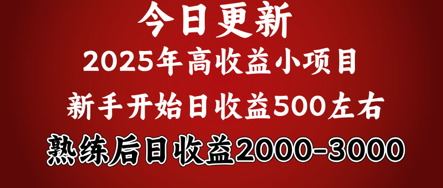 好项目一眼就能看出来，日收益1000，长久可做，2025拼的就是我比你勤奋燚龙网创-网创项目资源站-副业项目-创业项目-网赚项目燚龙网创