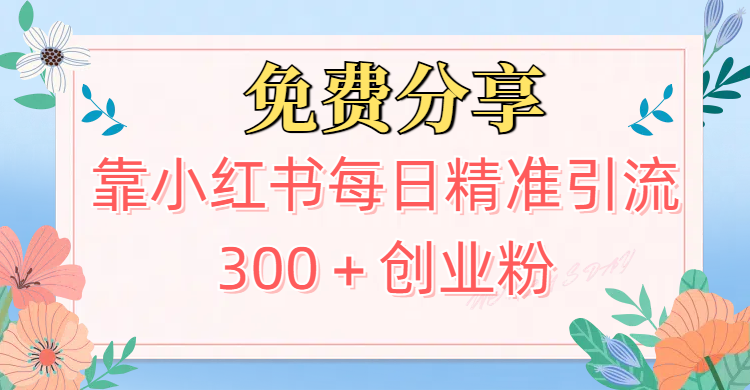2025最新引流！靠小红书每日精准引流300＋创业粉燚龙网创-网创项目资源站-副业项目-创业项目-网赚项目燚龙网创