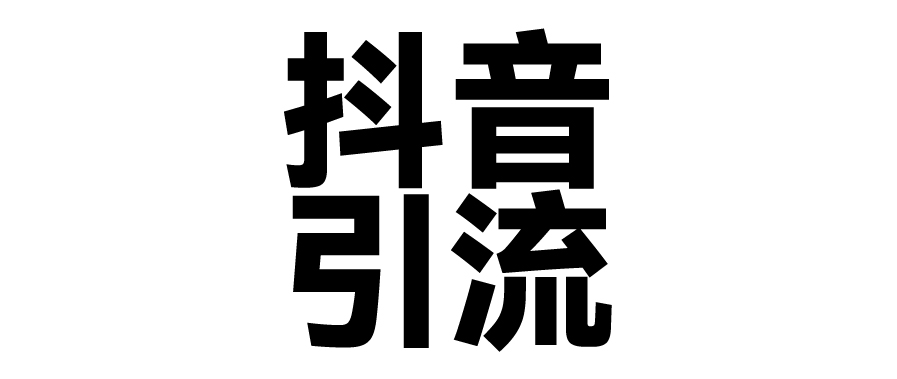 2025年抖音最新暴力引流法，只需一个视频加一段文字，简单操作，单日引300+创业粉燚龙网创-网创项目资源站-副业项目-创业项目-网赚项目燚龙网创