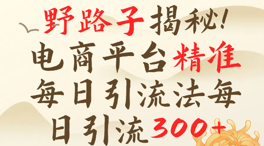 野路子揭秘！电商平台每日引流300＋独家揭秘详细流程！燚龙网创-网创项目资源站-副业项目-创业项目-网赚项目燚龙网创