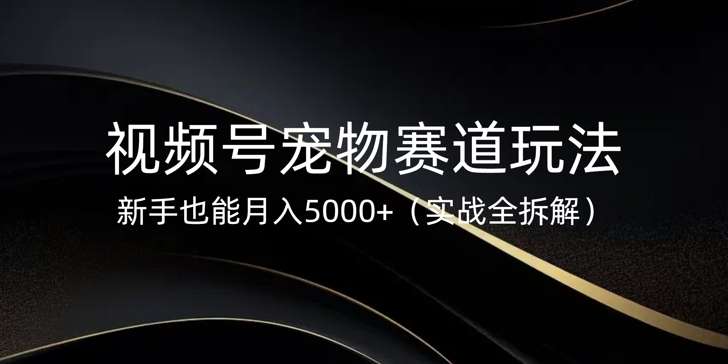 视频号宠物赛道玩法，新手也能月入5000+（实战全拆解）燚龙网创-网创项目资源站-副业项目-创业项目-网赚项目燚龙网创