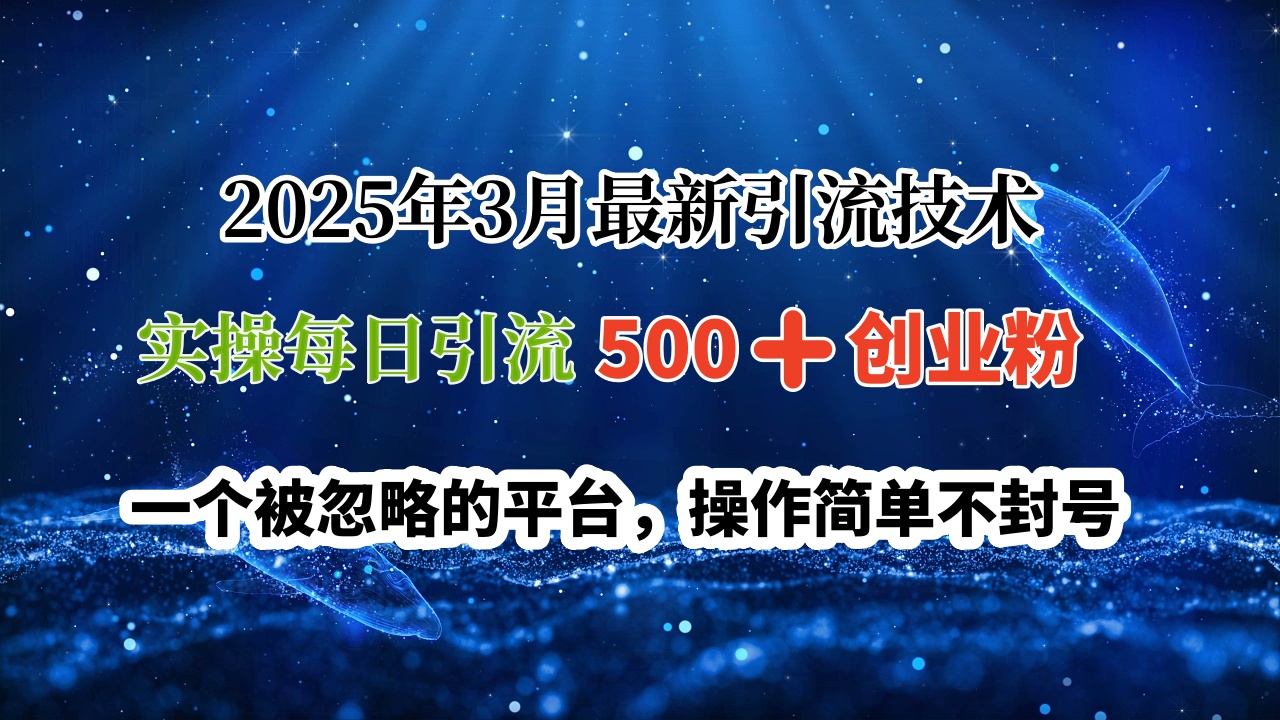 2025年3月最新引流技术，实操每日引流500➕创业粉，一个被忽略的平台，操作简单不封号燚龙网创-网创项目资源站-副业项目-创业项目-网赚项目燚龙网创