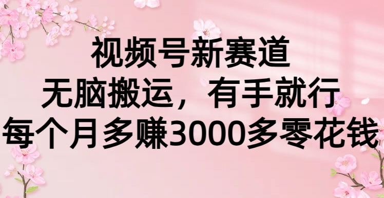 视频号新赛道，无脑搬运，有手就行，每个月多赚3000多零花钱燚龙网创-网创项目资源站-副业项目-创业项目-网赚项目燚龙网创