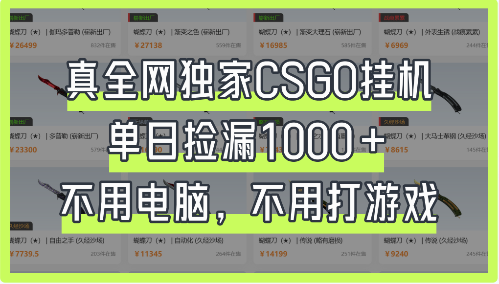 真全网独家CSGO挂机，单日捡漏1000+燚龙网创-网创项目资源站-副业项目-创业项目-网赚项目燚龙网创