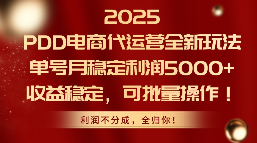 2025 PDD电商代运营全新玩法，单号月稳定利润5000+，收益稳定，可批量操作！燚龙网创-网创项目资源站-副业项目-创业项目-网赚项目燚龙网创