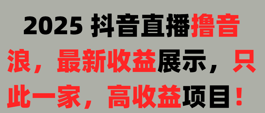 2025 抖音直播撸音浪，最新收益展示，只此一家，高收益项目！燚龙网创-网创项目资源站-副业项目-创业项目-网赚项目燚龙网创