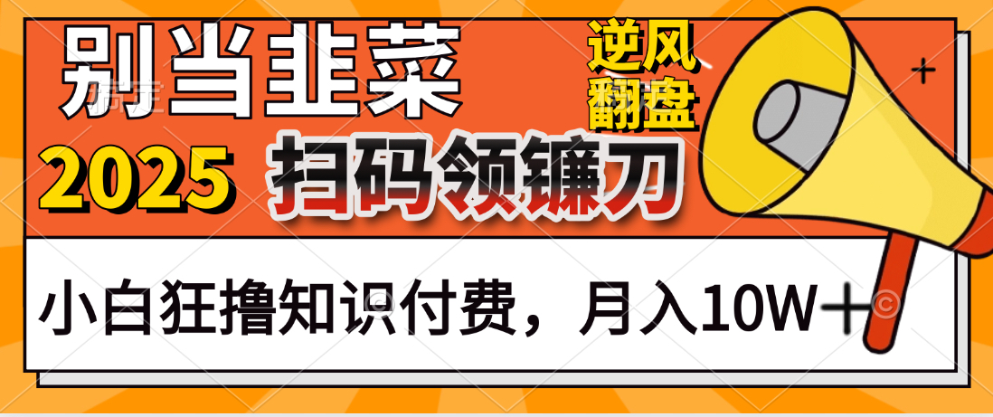 2025别当韭菜！扫码领镰刀！小白狂撸知识付费月入10W+燚龙网创-网创项目资源站-副业项目-创业项目-网赚项目燚龙网创
