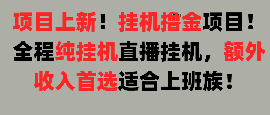项目上新！挂机撸金项目！全程纯挂机直播挂机，额外收入首选，适合上班族！燚龙网创-网创项目资源站-副业项目-创业项目-网赚项目燚龙网创