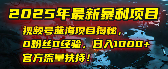 2025年最新暴利项目：视频号蓝海项目揭秘，0粉丝0经验，日入1000+，官方流量扶持！燚龙网创-网创项目资源站-副业项目-创业项目-网赚项目燚龙网创