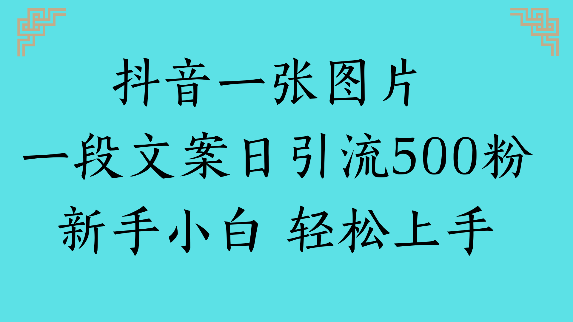 抖音一张图片 一段文案日引流500粉新手小白 轻松上手燚龙网创-网创项目资源站-副业项目-创业项目-网赚项目燚龙网创